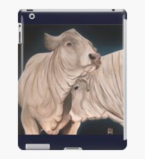 Bulls iPad Case/Skin