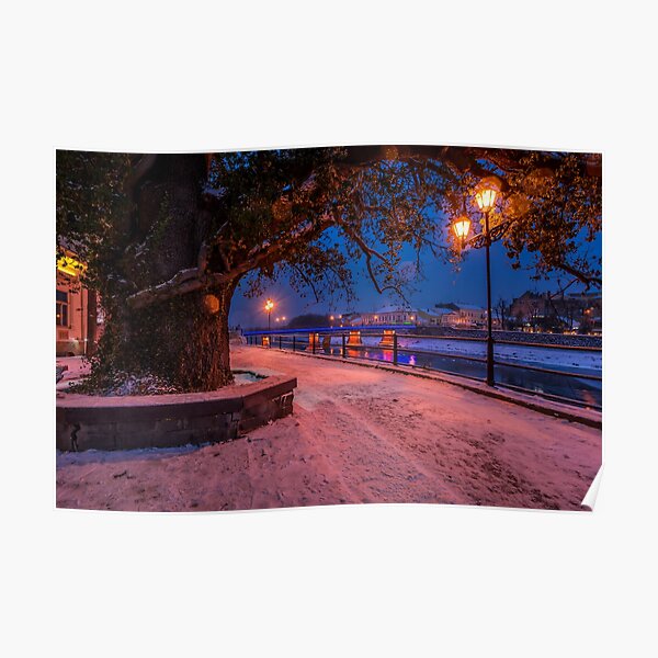 huge tree and lantern on the winter embankment Poster