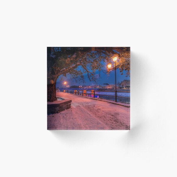 huge tree and lantern on the winter embankment Acrylic Block