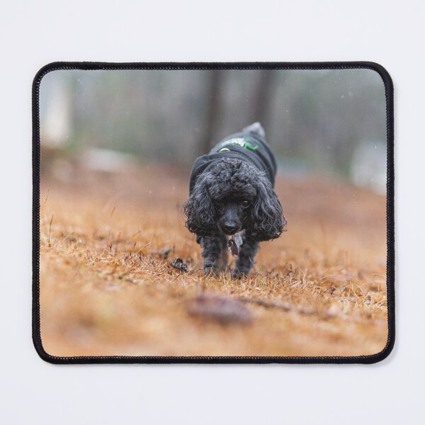 Item preview, I Walk Alone designed and sold by KensLensDesigns.