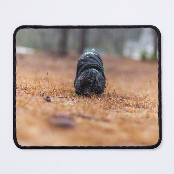 Item preview, Time to sniff designed and sold by KensLensDesigns.