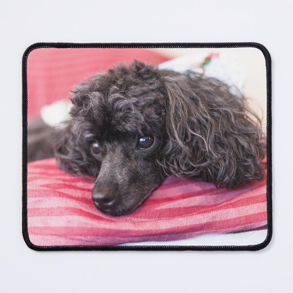 Item preview, this is comfy designed and sold by KensLensDesigns.