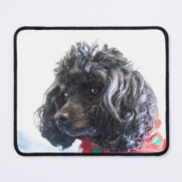 Item preview, What am I looking at designed and sold by KensLensDesigns.