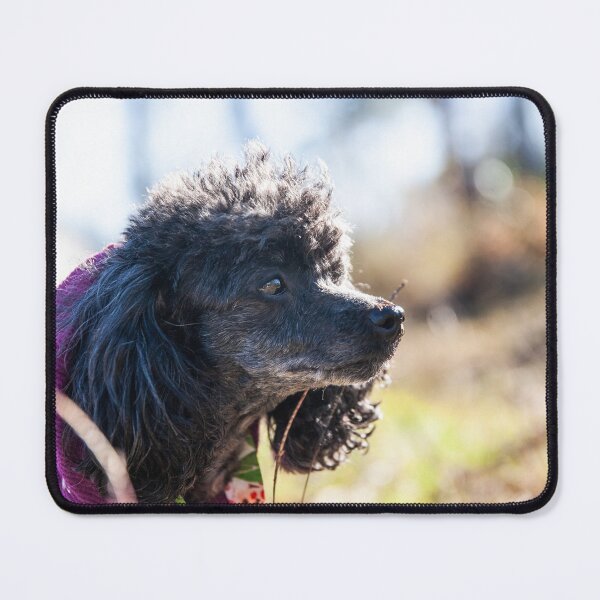 Item preview, Fluffy Dog designed and sold by KensLensDesigns.