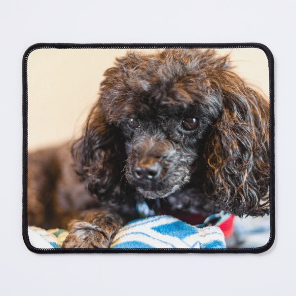 Item preview, Fluffy Pup designed and sold by KensLensDesigns.