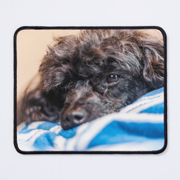 Item preview, Gentle Dog designed and sold by KensLensDesigns.