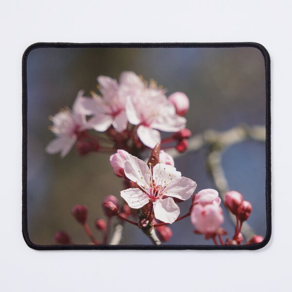 Item preview, Flowering Plum designed and sold by Hyladae's Art.
