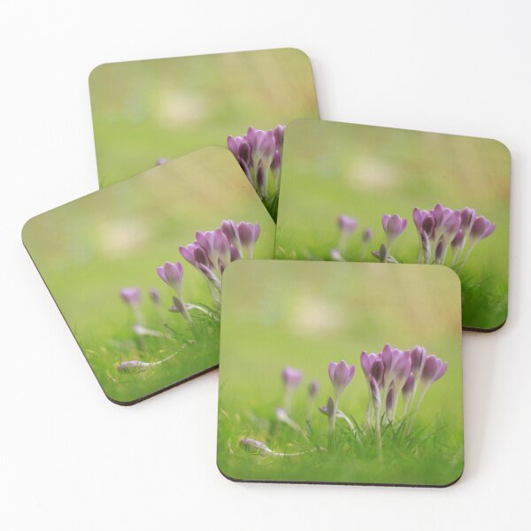 Item preview, Spring blooms  designed and sold by miradorpictures.