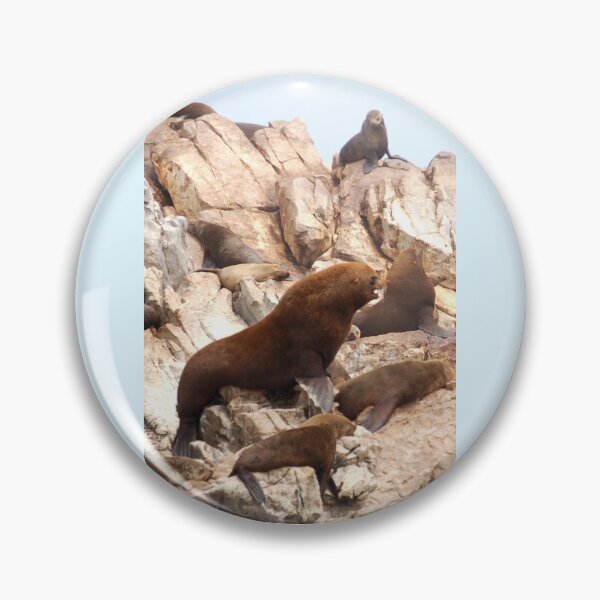 Item preview, Seal Island designed and sold by David JC.