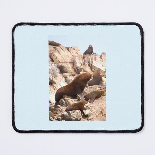 Item preview, Seal Island designed and sold by David JC.