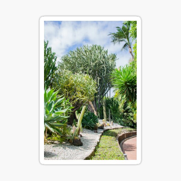 Item preview, Tenerife Landscape Cactus Photography designed and sold by Inspirely.