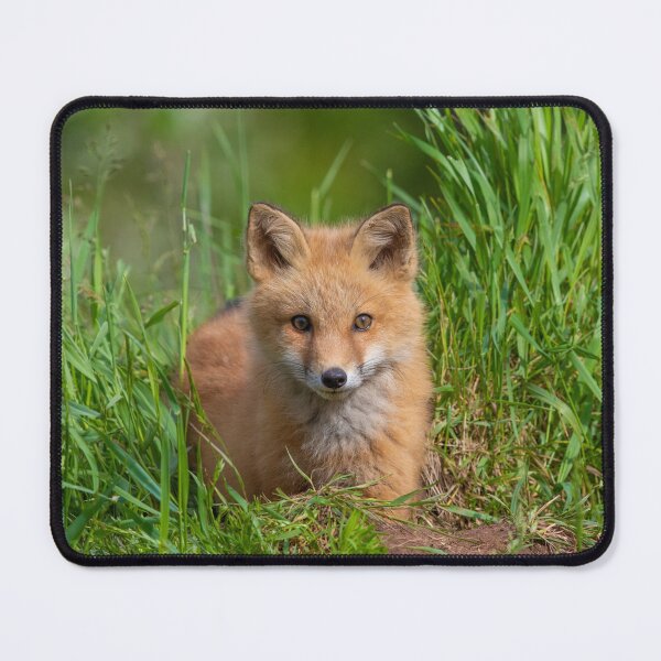 Item preview, Hello! designed and sold by Michel (Mike) Soucy.