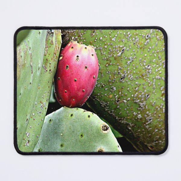Item preview, Prickle Pear Cactus and Fruit designed and sold by worldways.