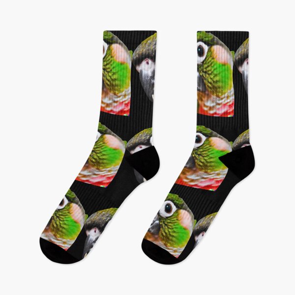 Item preview, Green Cheek Conure design | Conure | Small Parrot | Parakeet | Parrot lover designed and sold by TatianaLG.