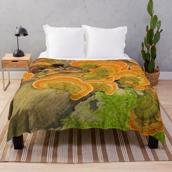 Item preview, Corteza de cortina amarillenta designed and sold by xophotography.