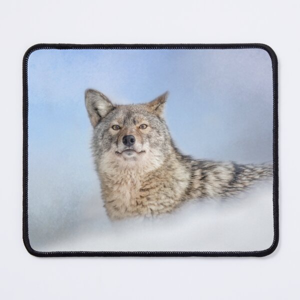 Item preview, Coywolf designed and sold by Michel (Mike) Soucy.