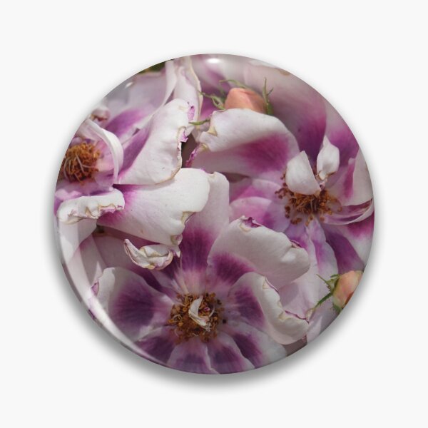 Item preview, Heirloom Roses designed and sold by Hyladae's Art.