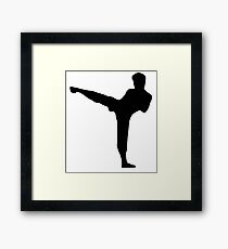 Martial Arts Framed Print