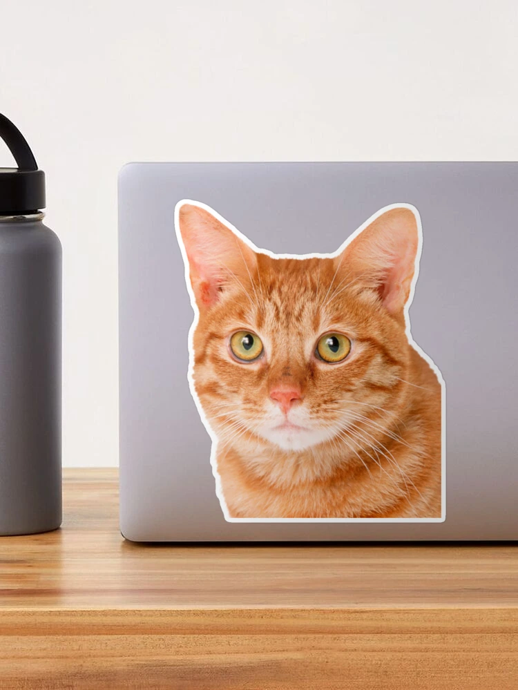 Pegatina para portátiles Cara de gato con ojos naranjas - TenVinilo