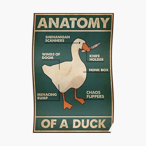 FUNNY ANATOMY OF A DUCK Poster