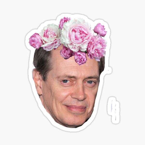 Steve Buscemi Stickers for Sale Redbubble