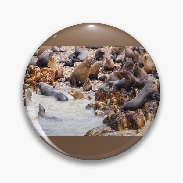 Item preview, Seal Landing designed and sold by David JC.