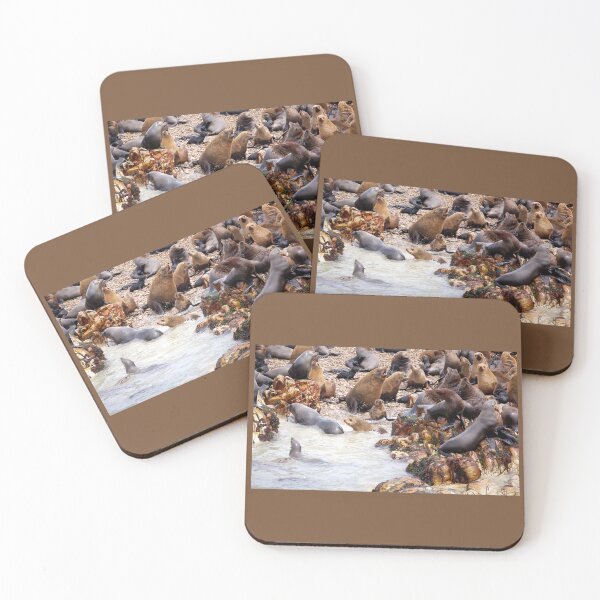 Item preview, Seal Landing designed and sold by David JC.