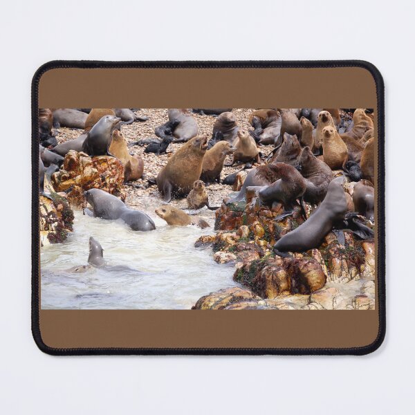Item preview, Seal Landing designed and sold by David JC.