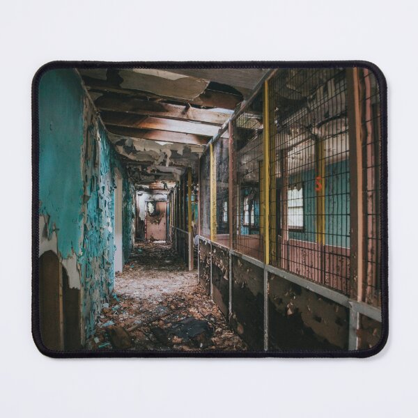 Item preview, Catskill Abandoned Zoo - Old Catskill Game Farm designed and sold by Hannah-Ratcliff.