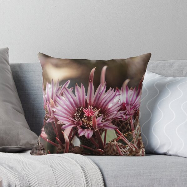 Item preview, Purple Cactus Blooms designed and sold by Hyladae's Art.