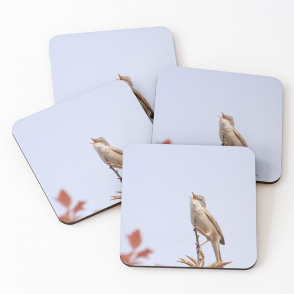 Item preview, Wallowing whitethroat designed and sold by miradorpictures.
