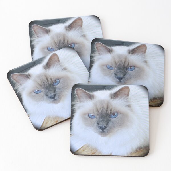 Item preview, Old Blue Eyes - The Beauty of a Birman Cat designed and sold by TechLaughs.
