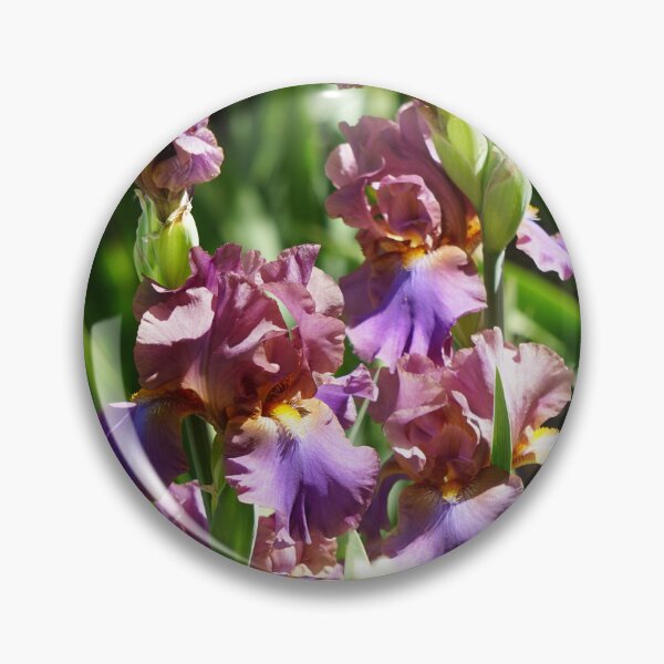 Item preview, Purple Irises designed and sold by Hyladae's Art.