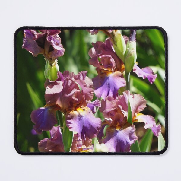 Item preview, Purple Irises designed and sold by Hyladae's Art.