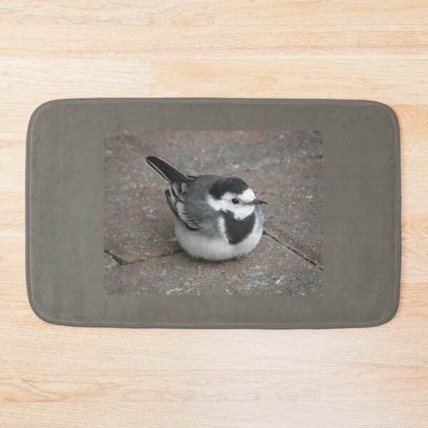Item preview, Pied Wagtail on pavement Photograph designed and sold by naturegallery.