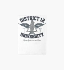District 12 University Art Board