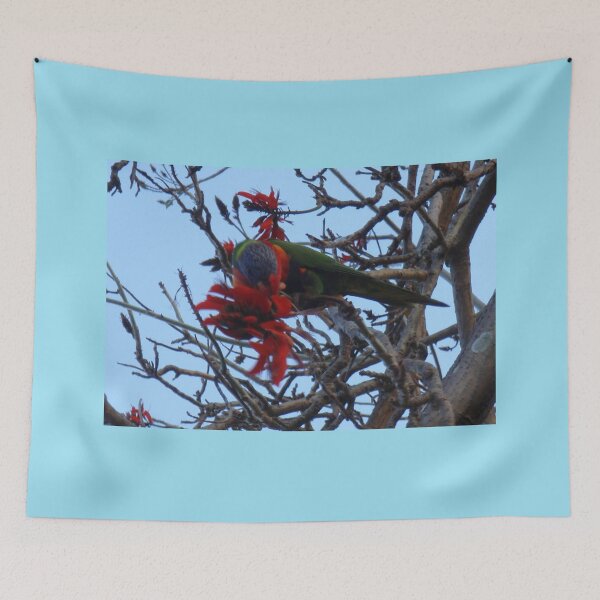 Item preview, Rosella high in the tree designed and sold by KazM.