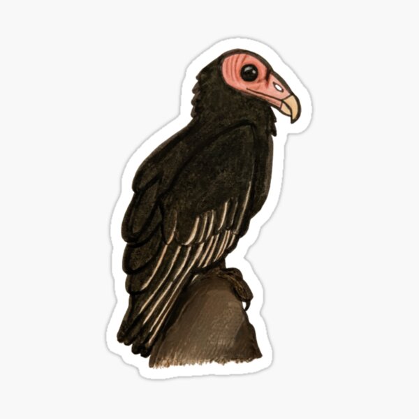"Turkey Vulture Cartoon" Sticker for Sale by LokiGecko Redbubble