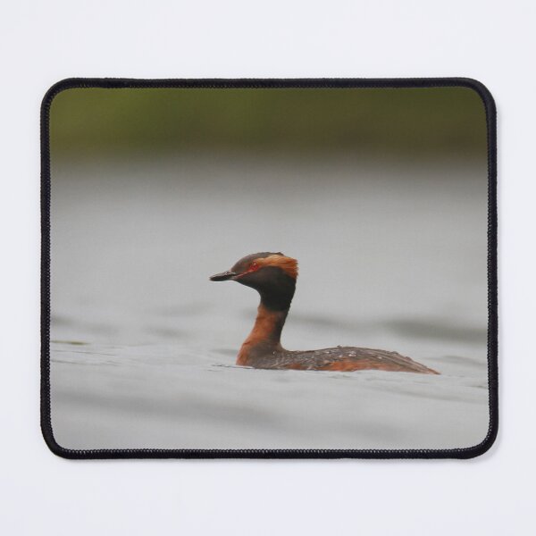 Item preview, Gorgeous Grebe designed and sold by miradorpictures.