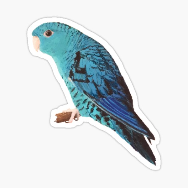 Turquoise Linnie Sticker