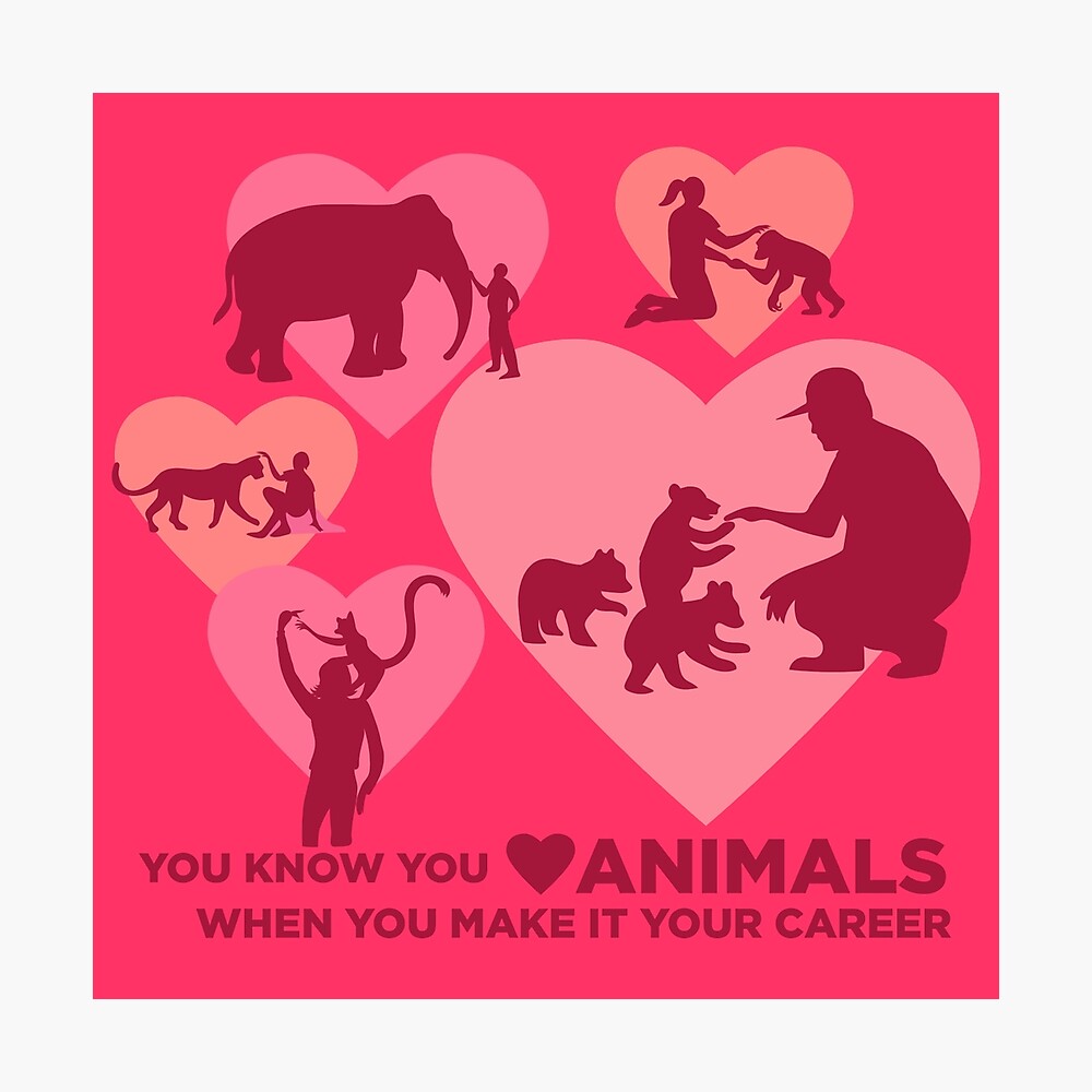 Love Animals - Land Animal Career