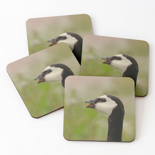 Item preview, Brilliant barnacle goose designed and sold by miradorpictures.