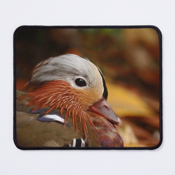 Item preview, Camoflague designed and sold by miradorpictures.