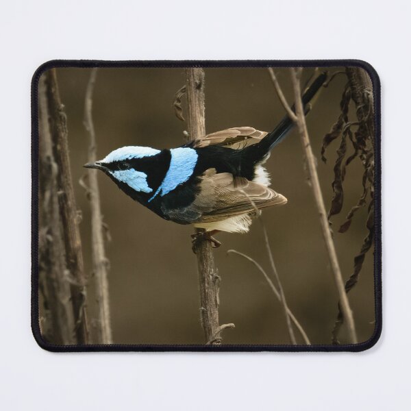 Item preview, Blue Flash designed and sold by Peter Detheridge.