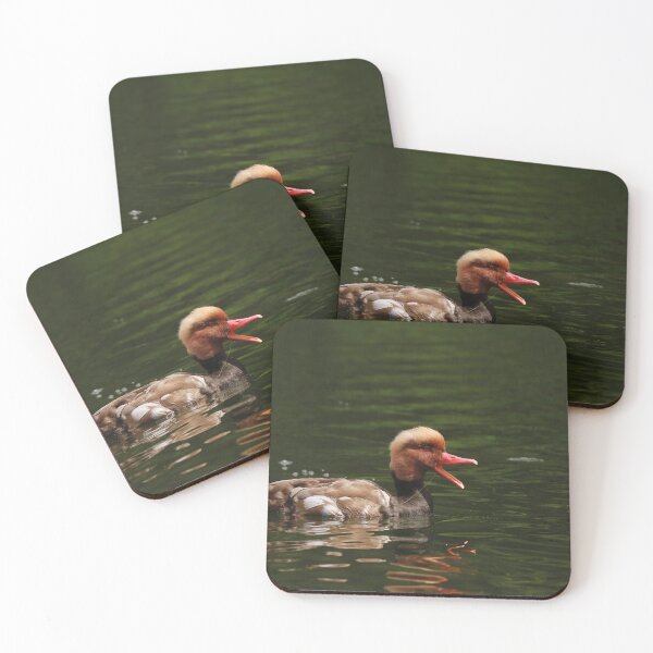 Item preview, Dinner time ! designed and sold by miradorpictures.