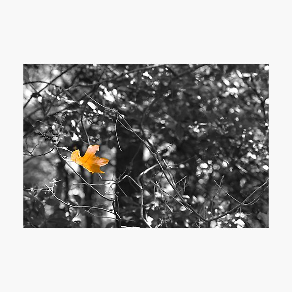 So Long Sweet Summer Photographic Print