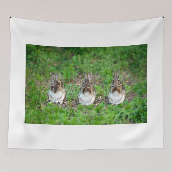Item preview, Hear Nothing, See Nothing, Say Nothing designed and sold by Gouzelka.