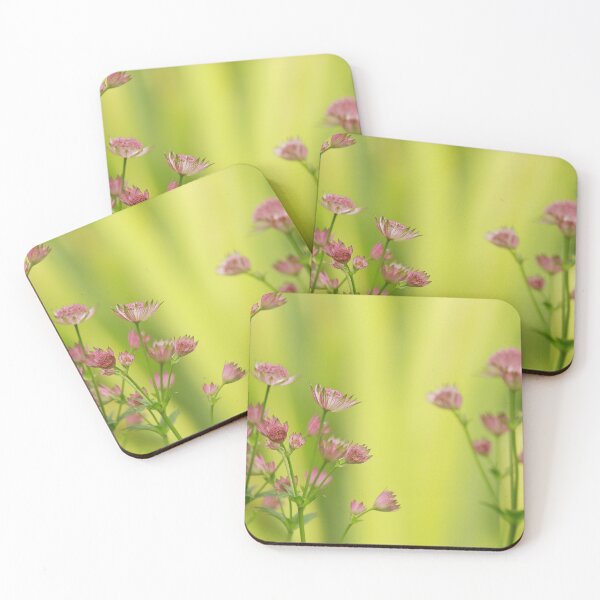 Item preview, Amazing Astrantias designed and sold by miradorpictures.