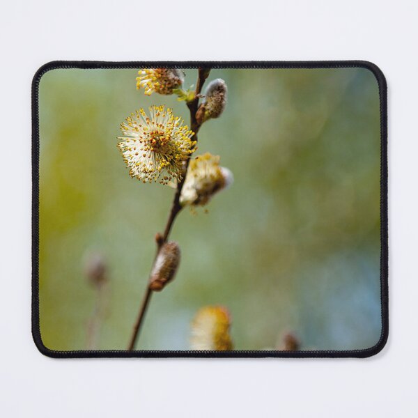 Item preview, Willow branch designed and sold by Gouzelka.