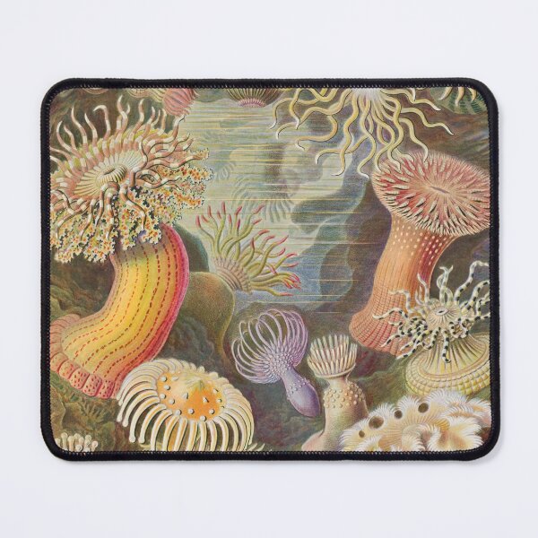 Item preview, Haeckel Actiniae designed and sold by linggalibrary.